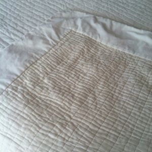 VELVET & SILK POTTERY BARN QUILT & SHAMS